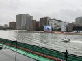 IMG_2382.jpg