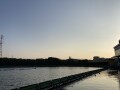 IMG_2456.jpg