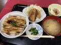 IMG_2461.jpg