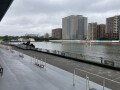 IMG_2473.jpg