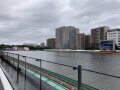 IMG_2482.jpg