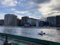IMG_2489.jpg