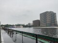 IMG_2518.jpg