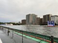 IMG_2942.jpg