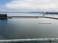 IMG_3075.jpg IMG_3075.jpg