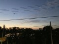 IMG_3127.jpg