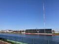 IMG_3153.jpg