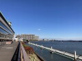 IMG_3482.jpg IMG_3482.jpg
