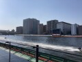 IMG_3584.jpg