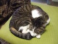 DSCF8507.jpg