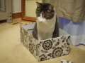 DSCF6242.jpg