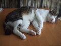 DSCF6355.jpg