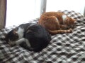 DSCF7047.jpg