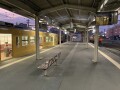 IMG_4037.jpg