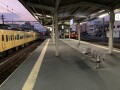 IMG_4046.jpg