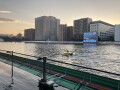 IMG_4106.jpg