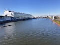 IMG_4147.jpg