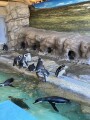 IMG_4228.jpg