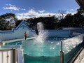 IMG_4248.jpg