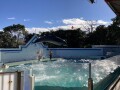 IMG_4256.jpg