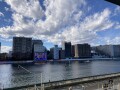IMG_4266.jpg