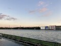IMG_4369.jpg