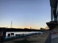 IMG_4382.jpg