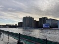 IMG_4440.jpg