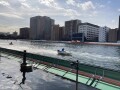 IMG_4901.jpg