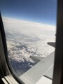 IMG_5060.jpg