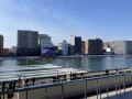 IMG_5336.jpg