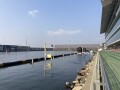 IMG_5482.jpg IMG_5482.jpg