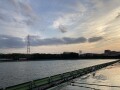 IMG_5681.jpg