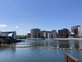 IMG_6144.jpg