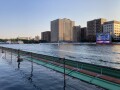 IMG_6153.jpg