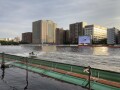 IMG_6343.jpg