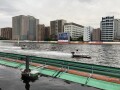 IMG_6366.jpg