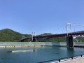 IMG_6486.jpg IMG_6486.jpg