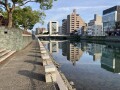 IMG_6539.jpg