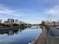 IMG_6550.jpg