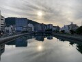 IMG_6553.jpg