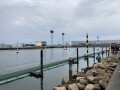 IMG_6886.jpg IMG_6886.jpg