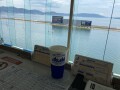 IMG_7092.jpg IMG_7092.jpg