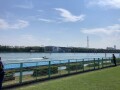 IMG_7165.jpg