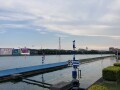 IMG_7173.jpg