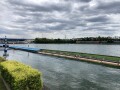 IMG_7220.jpg