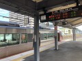 IMG_7321.jpg