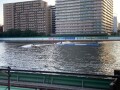 IMG_7653.jpg