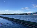 IMG_7686.jpg