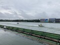 IMG_7698.jpg